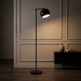 Eva 58.5"  Modern Contemporary Iron LED Floor Lamp Black – AI-ON
