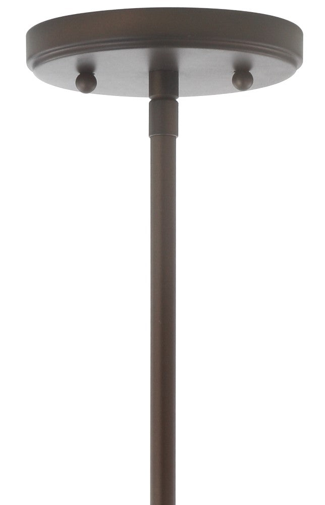 Kurtz School House Adjustable Drop Metal/Glass LED Pendant