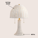 Joanie 22"  Bohemian Rustic Iron LED Table Lamp