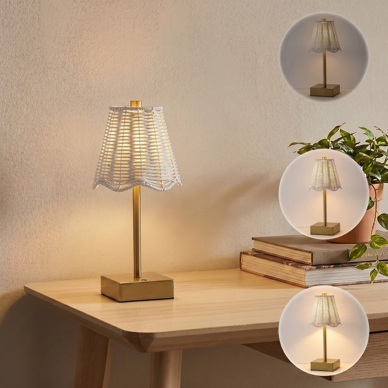 Willow 11 in. Coastal Bohemian Metal and Water Hyacinth Tapered Cordless Rechargeable Integrated Dimmable LED Table Lamp with Touch Sensor