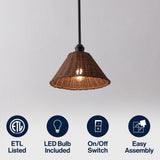 Hattie 1-Light Coastal Bohemian Metal and Woven Rattan LED Pendant Light