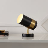 Astra 9.25" Modern Industrial Iron Adjustable Indoor LED Floor Spotlight