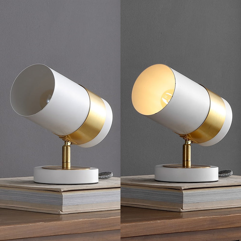 Astra 9.25" Modern Industrial Iron Adjustable Indoor LED Floor Spotlight