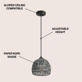 Campana 20" Bohemian Modern Woven Rattan/Iron LED Pendant