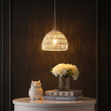 Light on image JYL6513A