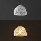 Campana 20" Bohemian Modern Woven Rattan/Iron LED Pendant