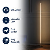 Iris 59.5" LED Integrated Floor Lamp