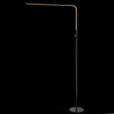 Natalie 63" LED Integrated Floor Lamp - JONATHAN Y