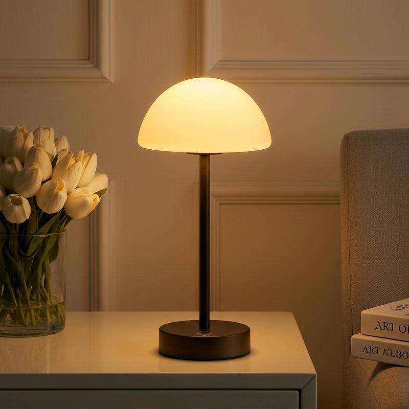 Light on image JYL7109B