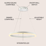 Baxter Modern Contemporary Aluminum Integrated LED Hoop Pendant