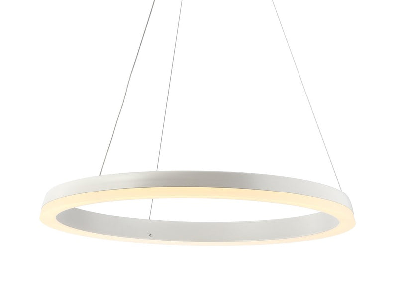 Baxter Modern Contemporary Aluminum Integrated LED Hoop Pendant - JONATHAN Y