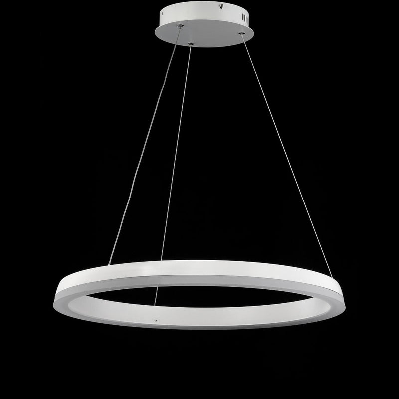 Baxter Modern Contemporary Aluminum Integrated LED Hoop Pendant - JONATHAN Y