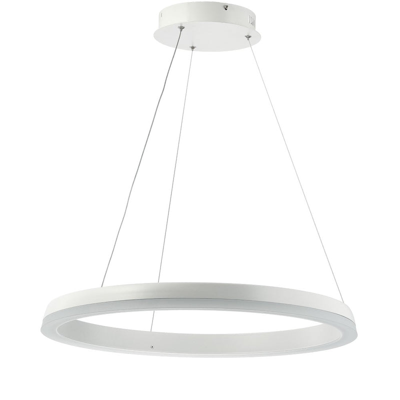 Baxter Modern Contemporary Aluminum Integrated LED Hoop Pendant - JONATHAN Y