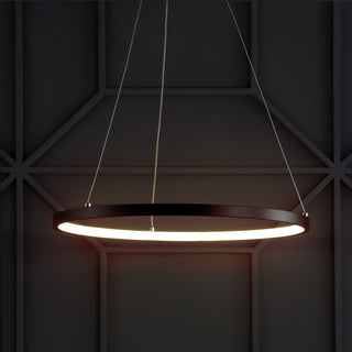 Brice  Modern Contemporary Iron Integrated LED Pendant
