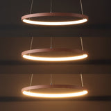 Brice  Modern Contemporary Iron Integrated LED Pendant