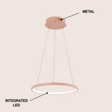 Brice  Modern Contemporary Iron Integrated LED Pendant
