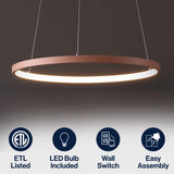 Brice  Modern Contemporary Iron Integrated LED Pendant
