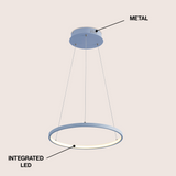 Brice  Modern Contemporary Iron Integrated LED Pendant