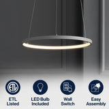 Brice  Modern Contemporary Iron Integrated LED Pendant
