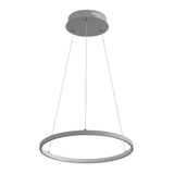 Brice  Modern Contemporary Iron Integrated LED Pendant