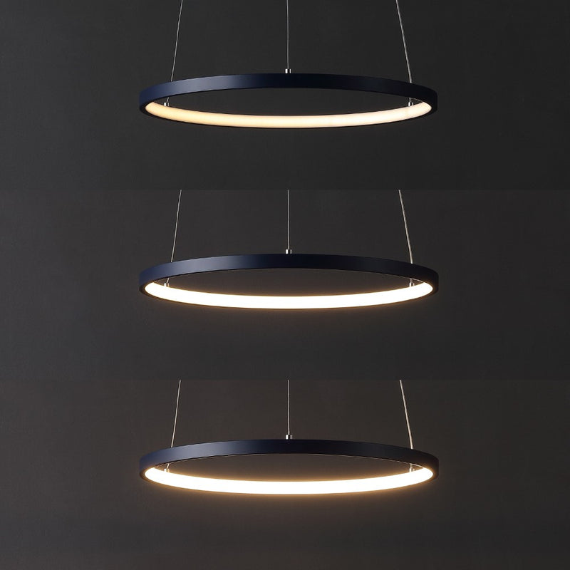 Brice  Modern Contemporary Iron Integrated LED Pendant