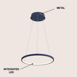 Brice  Modern Contemporary Iron Integrated LED Pendant