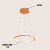 Brice  Modern Contemporary Iron Integrated LED Pendant