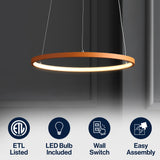 Brice  Modern Contemporary Iron Integrated LED Pendant