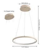 Brice  Modern Contemporary Iron Integrated LED Pendant