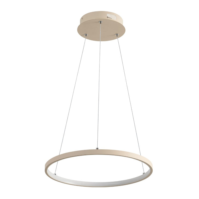 Brice  Modern Contemporary Iron Integrated LED Pendant