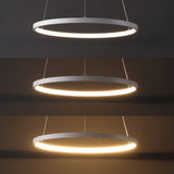 Brice  Modern Contemporary Iron Integrated LED Pendant