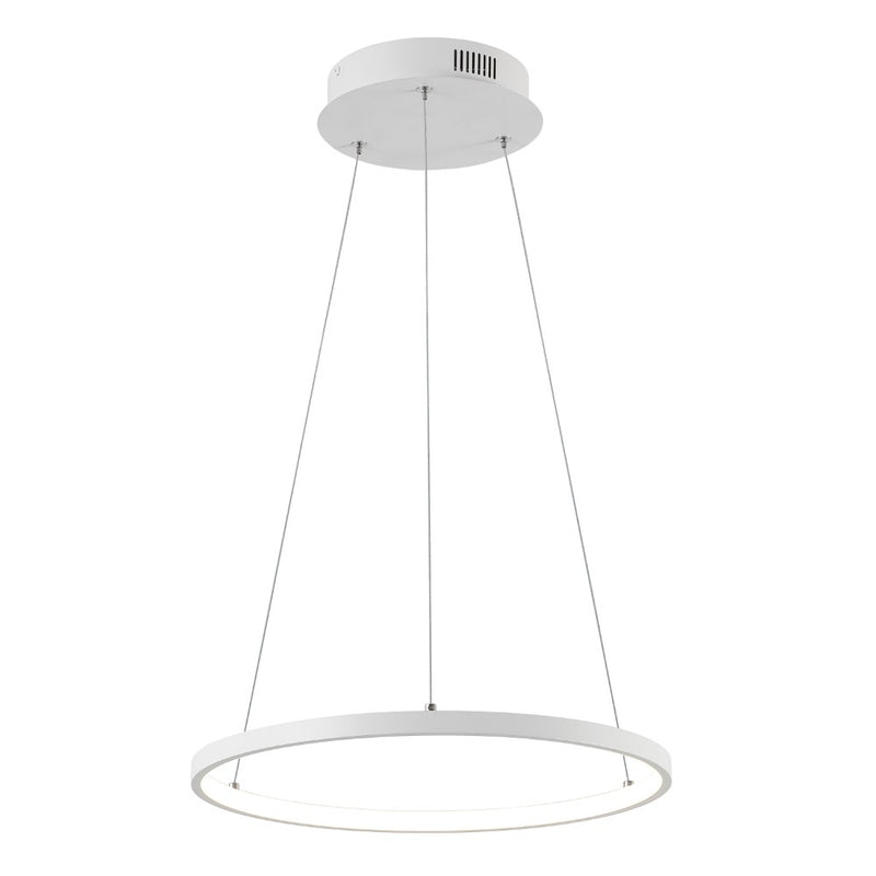 Brice  Modern Contemporary Iron Integrated LED Pendant
