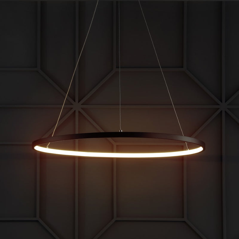 Brice  Modern Contemporary Iron Integrated LED Pendant