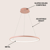Brice  Modern Contemporary Iron Integrated LED Pendant
