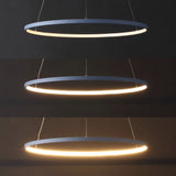 Brice  Modern Contemporary Iron Integrated LED Pendant