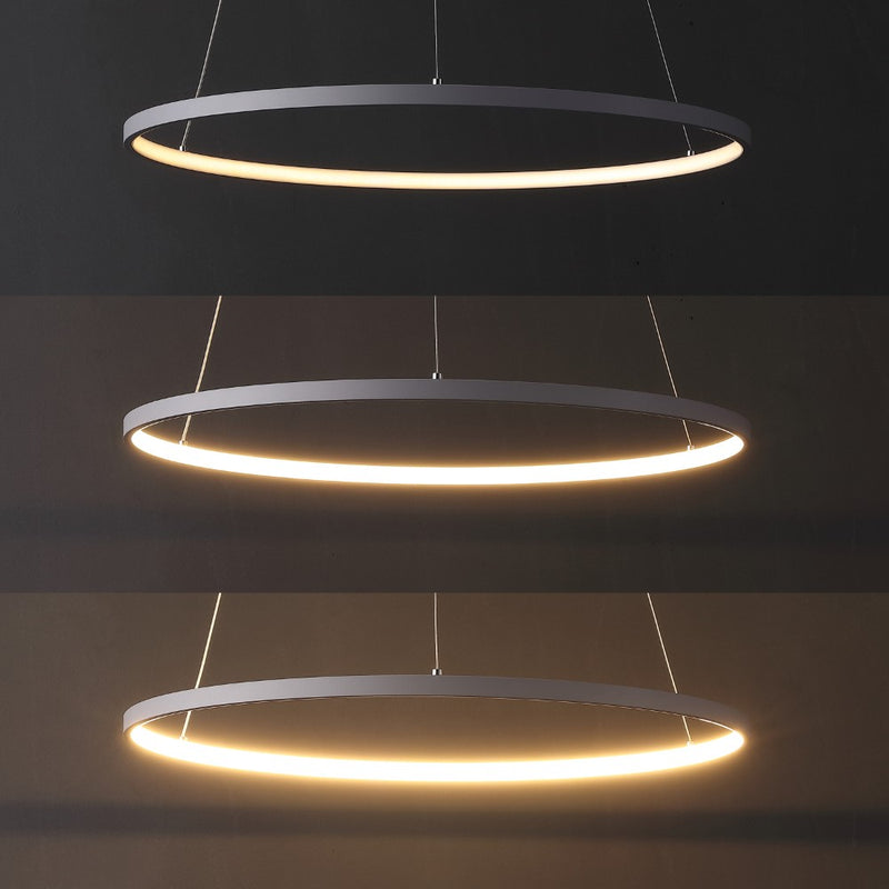 Brice  Modern Contemporary Iron Integrated LED Pendant