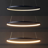 Brice  Modern Contemporary Iron Integrated LED Pendant