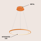 Brice  Modern Contemporary Iron Integrated LED Pendant