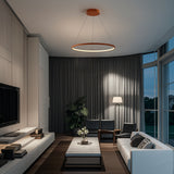 Brice  Modern Contemporary Iron Integrated LED Pendant