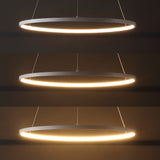 Brice  Modern Contemporary Iron Integrated LED Pendant