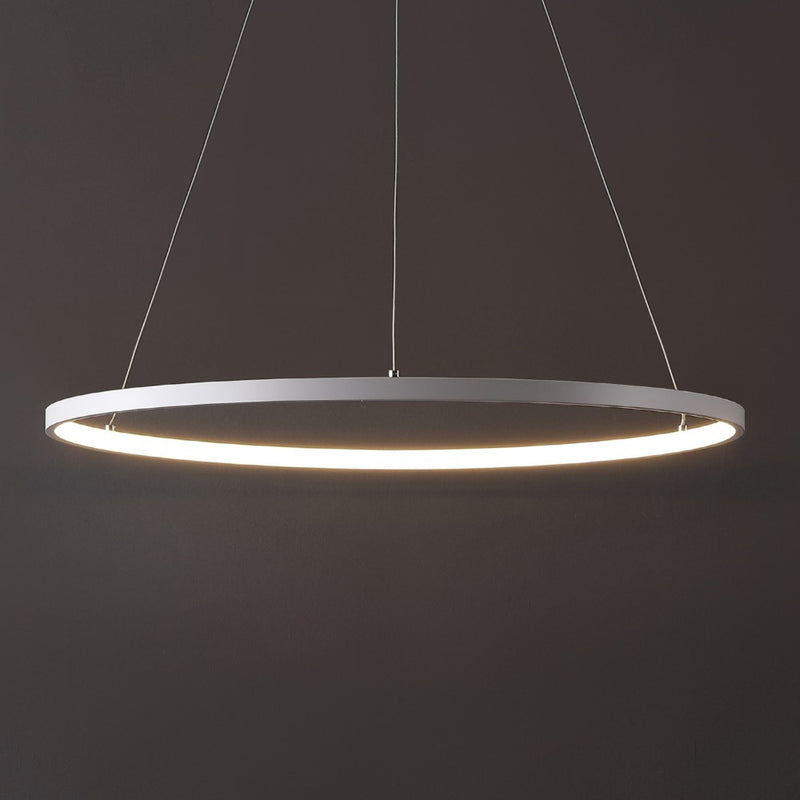 Brice  Modern Contemporary Iron Integrated LED Pendant