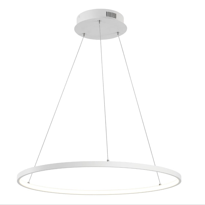 Brice  Modern Contemporary Iron Integrated LED Pendant