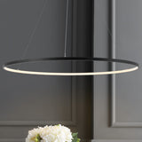 Brice  Modern Contemporary Iron Integrated LED Pendant