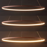 Brice  Modern Contemporary Iron Integrated LED Pendant