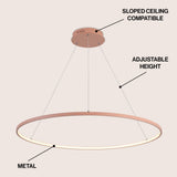 Brice  Modern Contemporary Iron Integrated LED Pendant