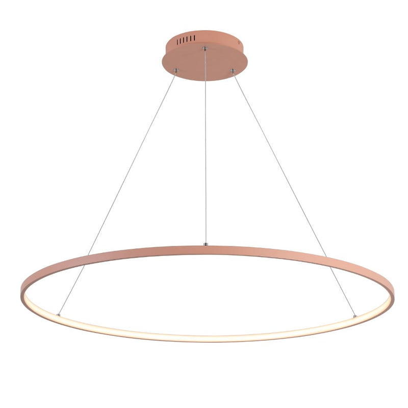 Brice  Modern Contemporary Iron Integrated LED Pendant