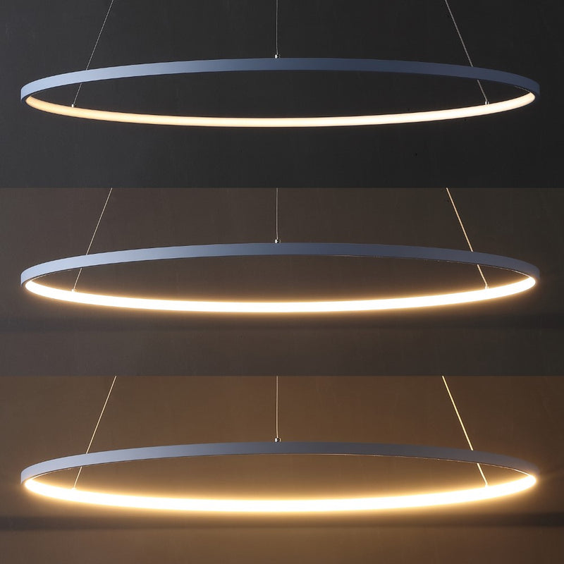 Brice  Modern Contemporary Iron Integrated LED Pendant