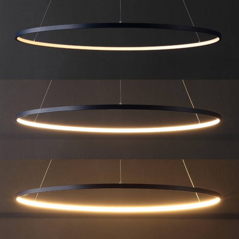 Brice  Modern Contemporary Iron Integrated LED Pendant