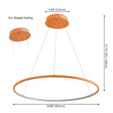 Brice  Modern Contemporary Iron Integrated LED Pendant