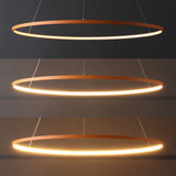 Brice  Modern Contemporary Iron Integrated LED Pendant